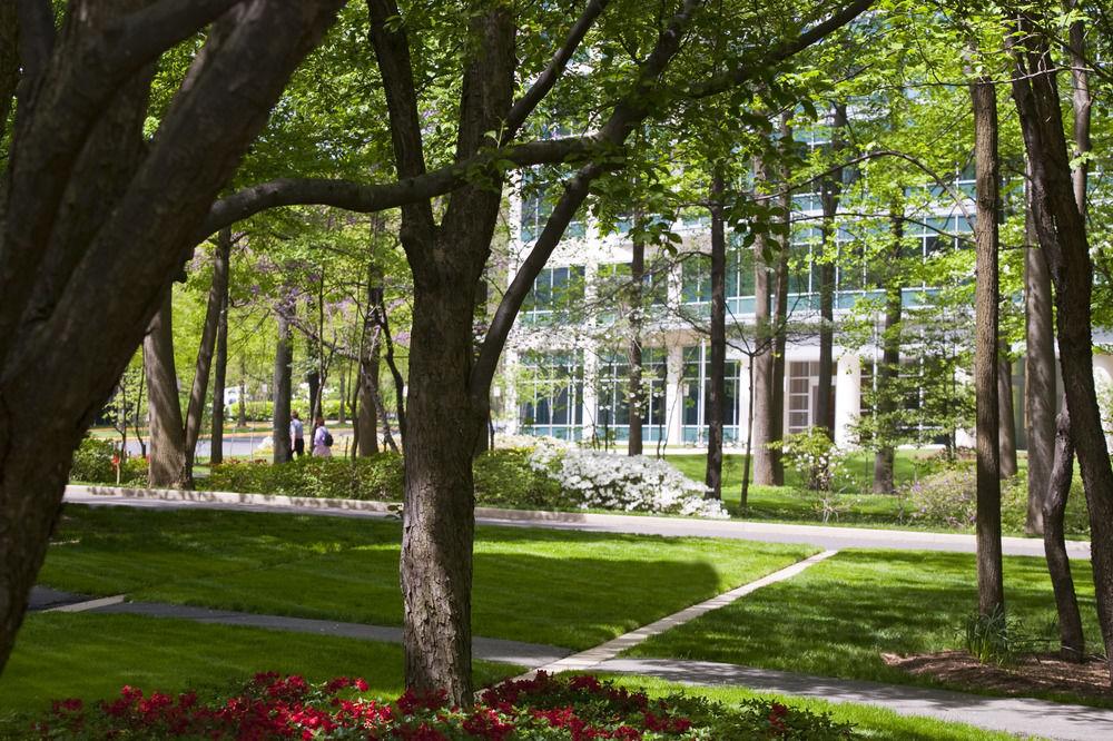 Falls Church Marriott Fairview Park Exterior foto