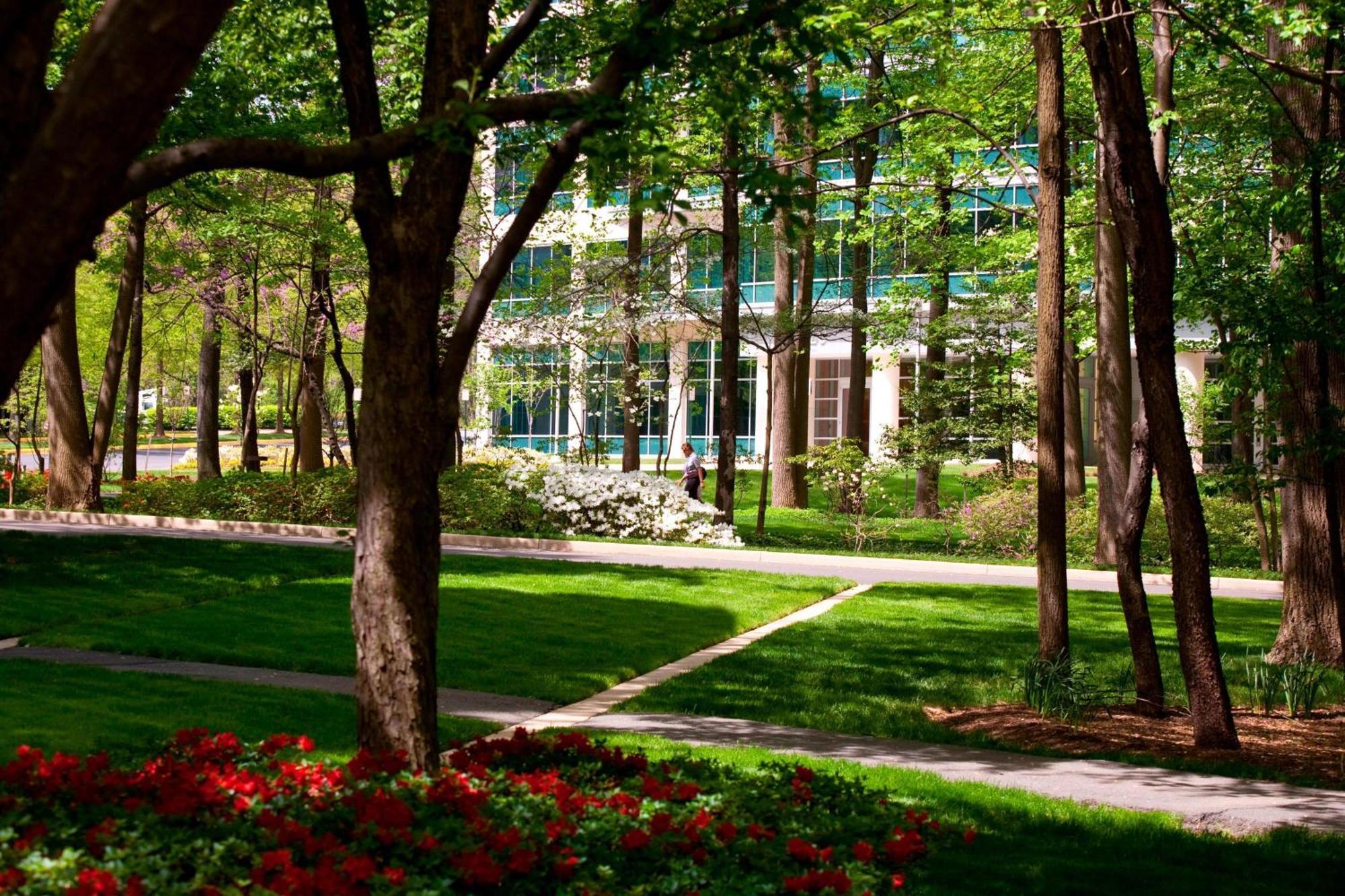 Falls Church Marriott Fairview Park Exterior foto